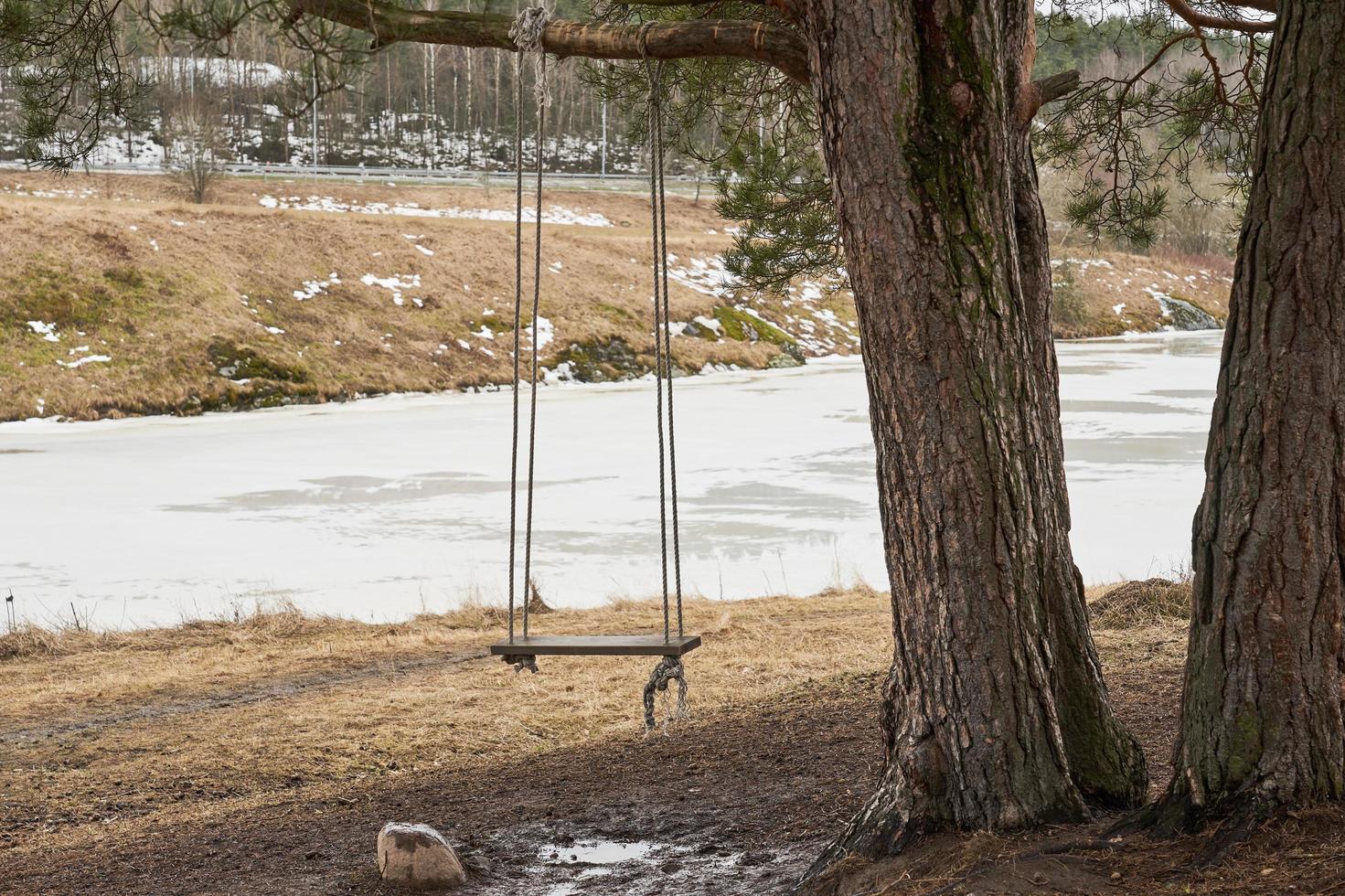 trä gunga på en trädgren på våren med en isig flod i bakgrunden foto