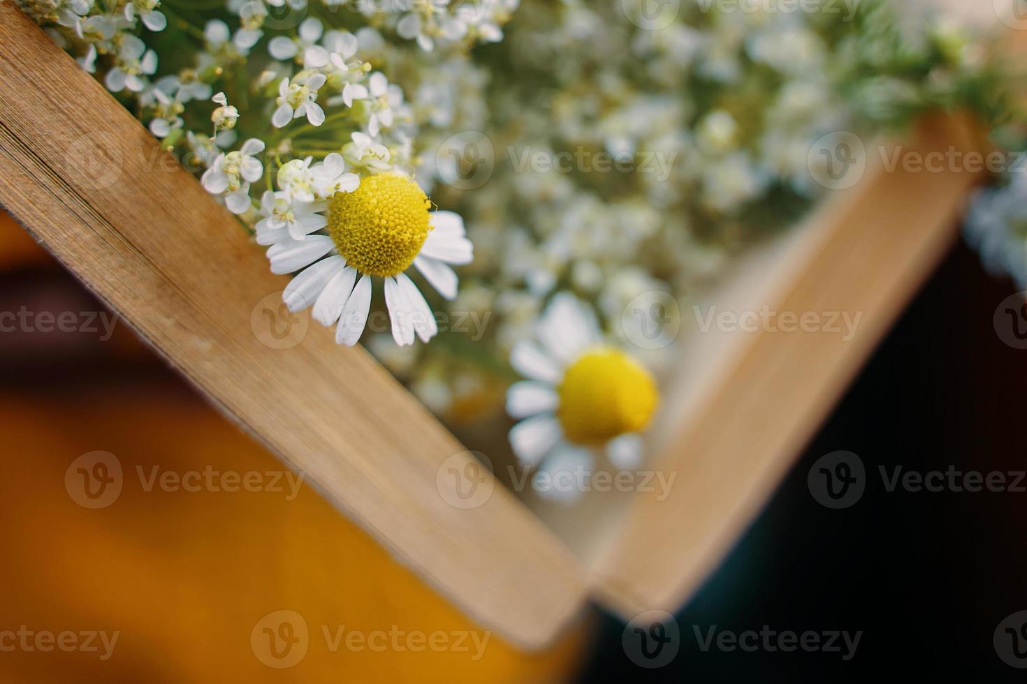 närbild av öppen bok med vildblommor foto