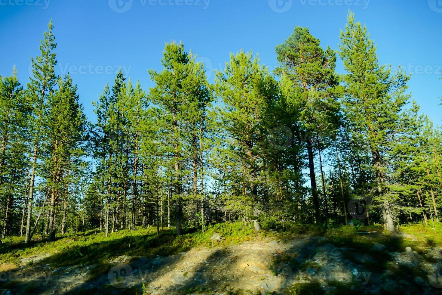 naturskön lantlig landskap foto