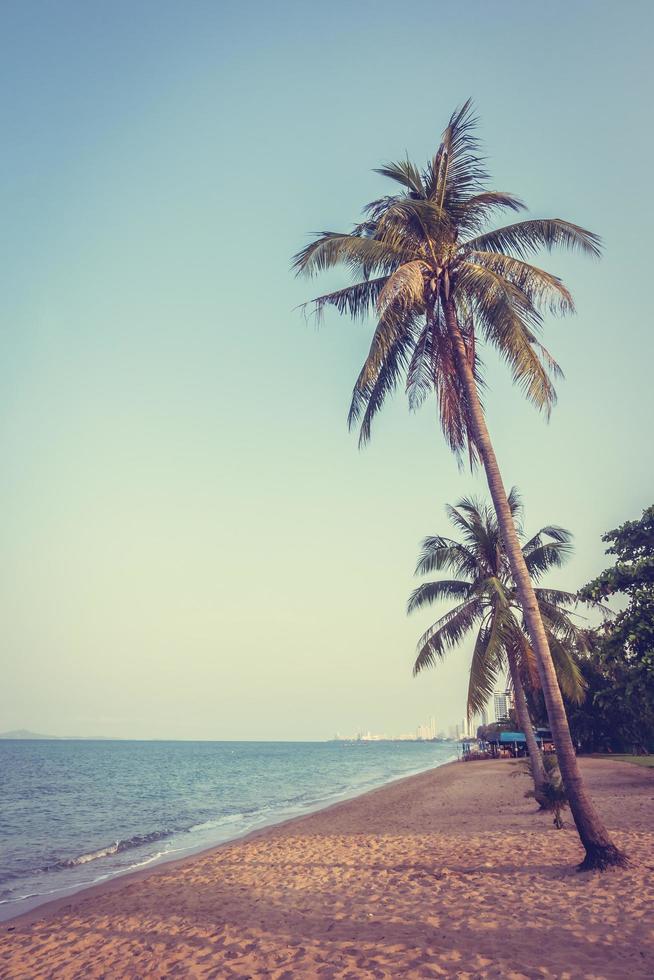 kokosnöt träd på stranden foto