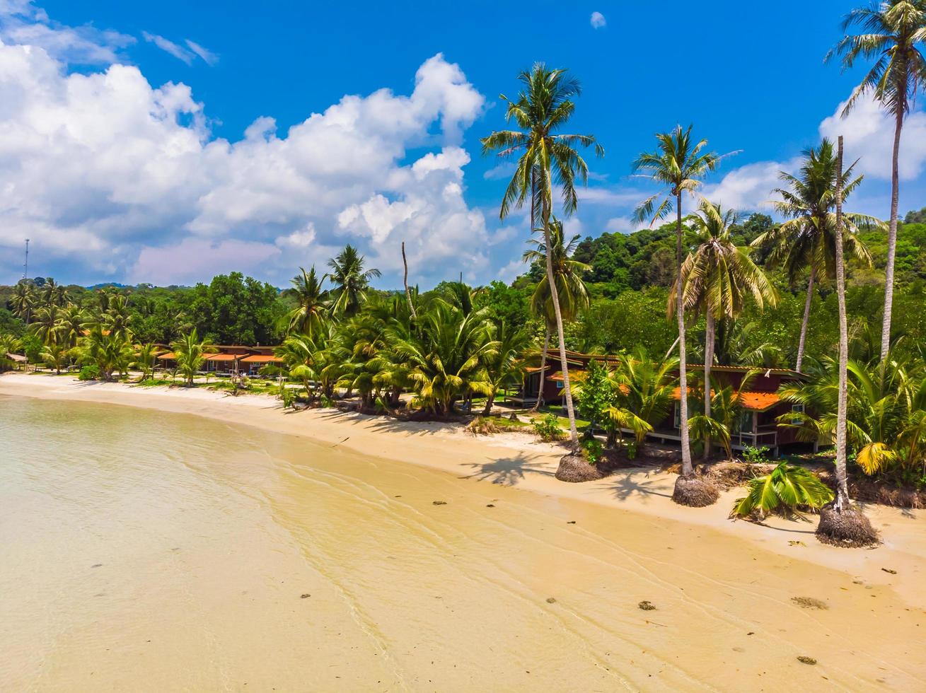 vacker flygfoto över stranden och havet med kokospalmen foto