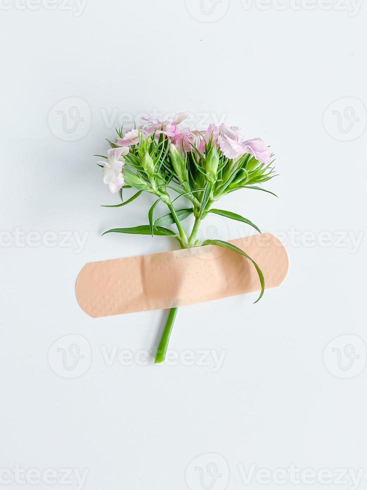 rosa blomma med plåster. konceptuell bild friska foto