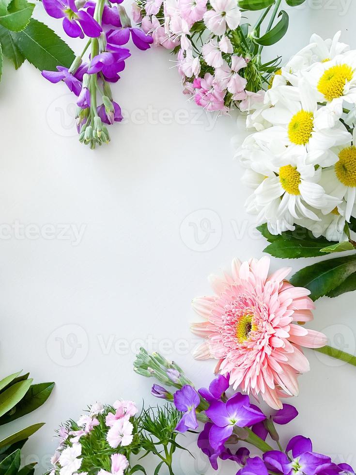 dianthus, gerbera, kamomill, lagerblad. blommig ram foto