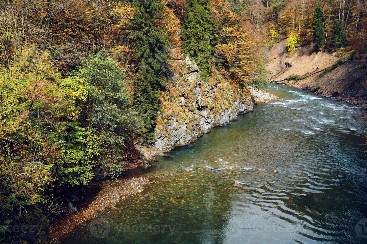 höst skog bergen natur flod resa landskap foto