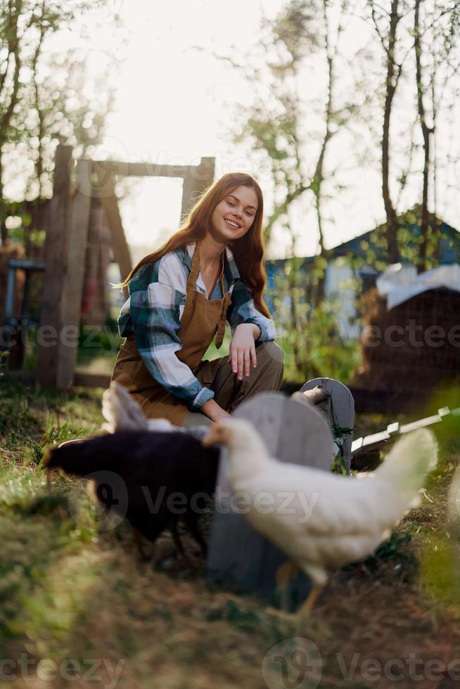 en skön kvinna Arbetar på en bruka och häller färsk mat från en skål och matar de kycklingar och gör Säker de mat är rena och organisk för de hälsa av de ansikten och kycklingar på en sommar solig dag foto