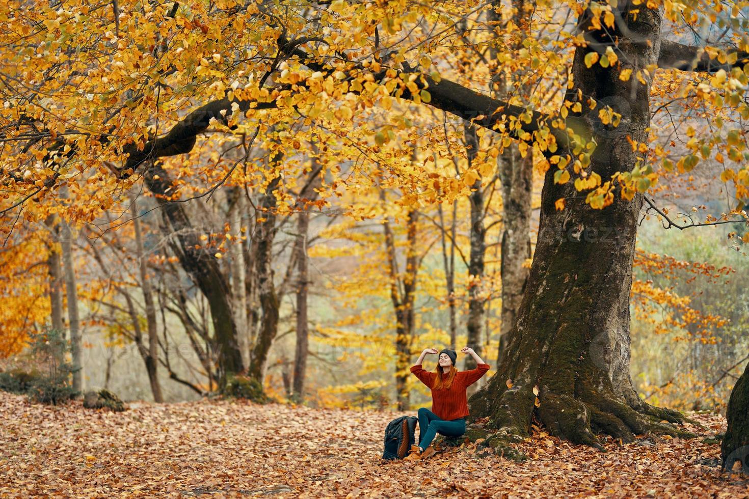 kvinna i höst skog Sammanträde under en träd med gul löv landskap parkera modell foto