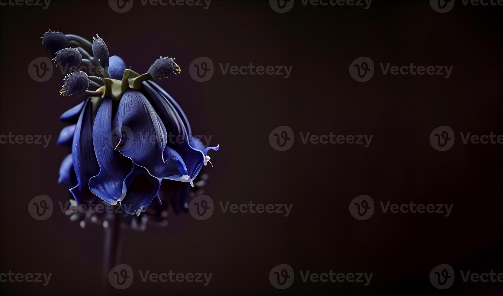 mörk blåklocka blomma svart bakgrund ai genererad foto