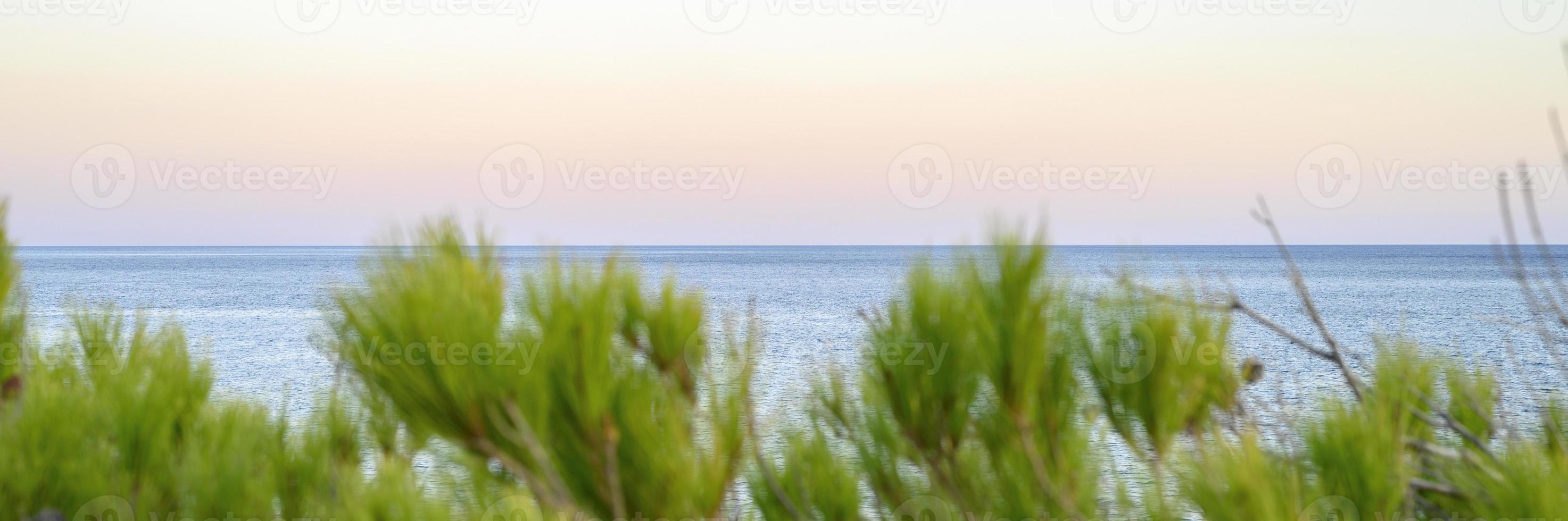 havslandskapets horisont i skymningen och suddiga grenar av ett tall foto