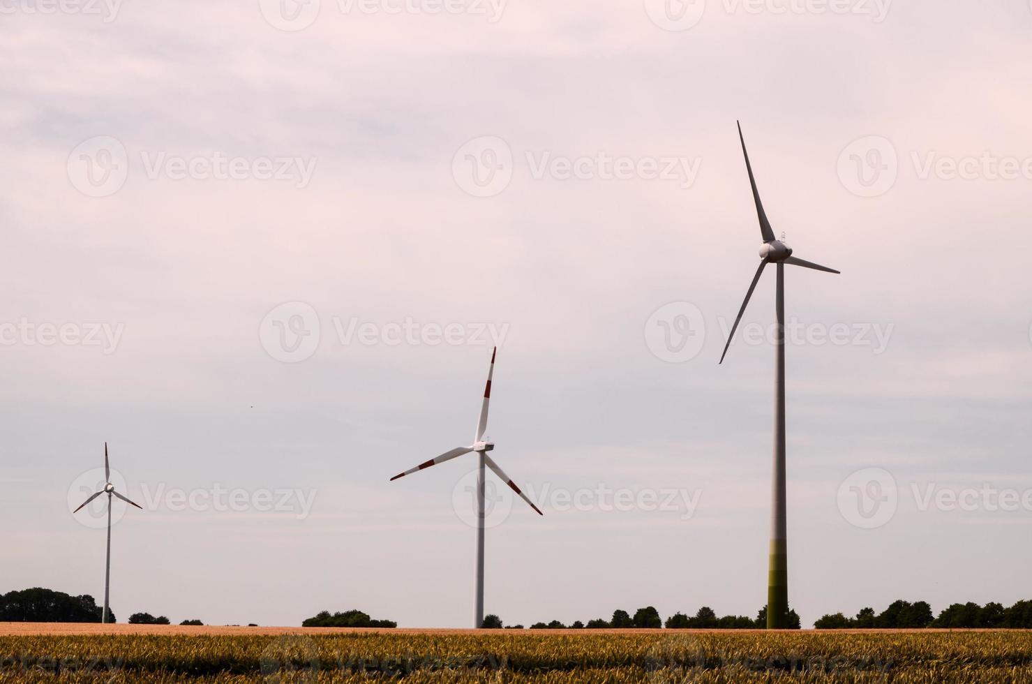 en fält med tre väderkvarnar foto