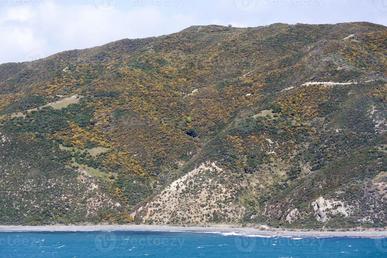 wellington stad utkant färgrik landskap foto