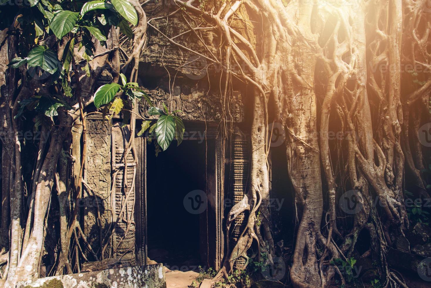 de mysterium ingång dörr i ta prohm tempel ett ikoniska turist attraktion plats i siem skörda, kambodja. foto