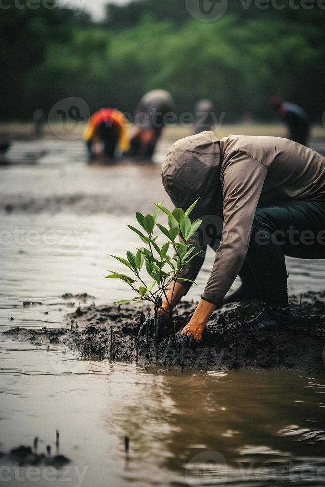 återställa de kustlinje gemenskap engagemang i plantering mangrove för miljö bevarande och livsmiljö restaurering på jord dag, främja hållbarhet. jord dag foto