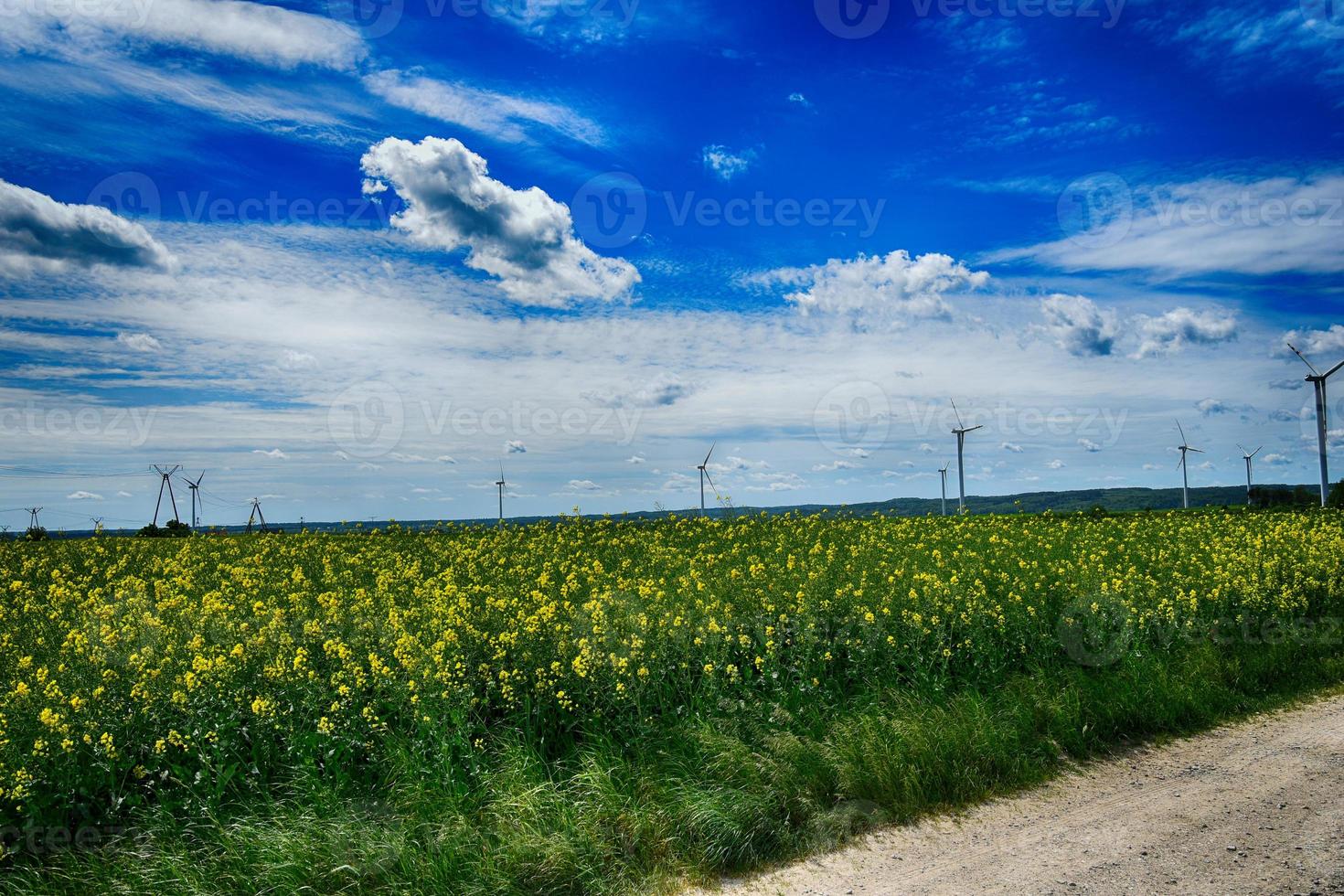 pittoresk vår landskap med blå himmel och grön fält foto