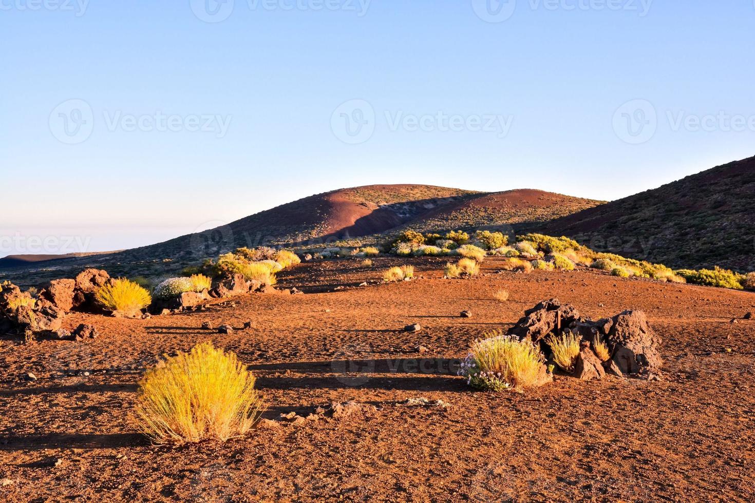 naturskön lantlig landskap foto