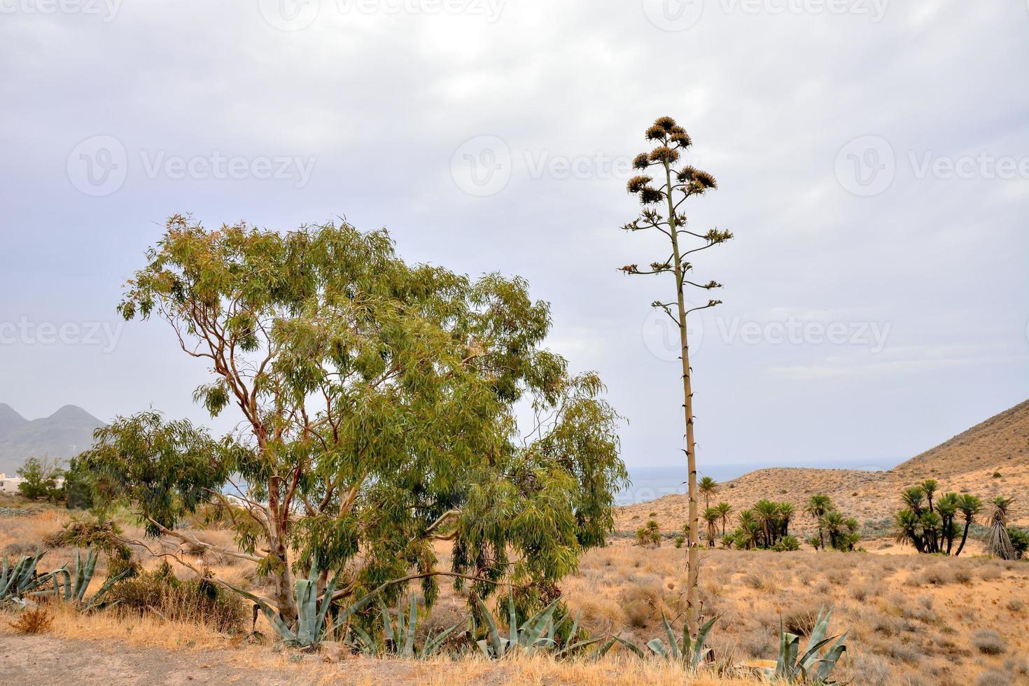 naturskön lantlig landskap foto