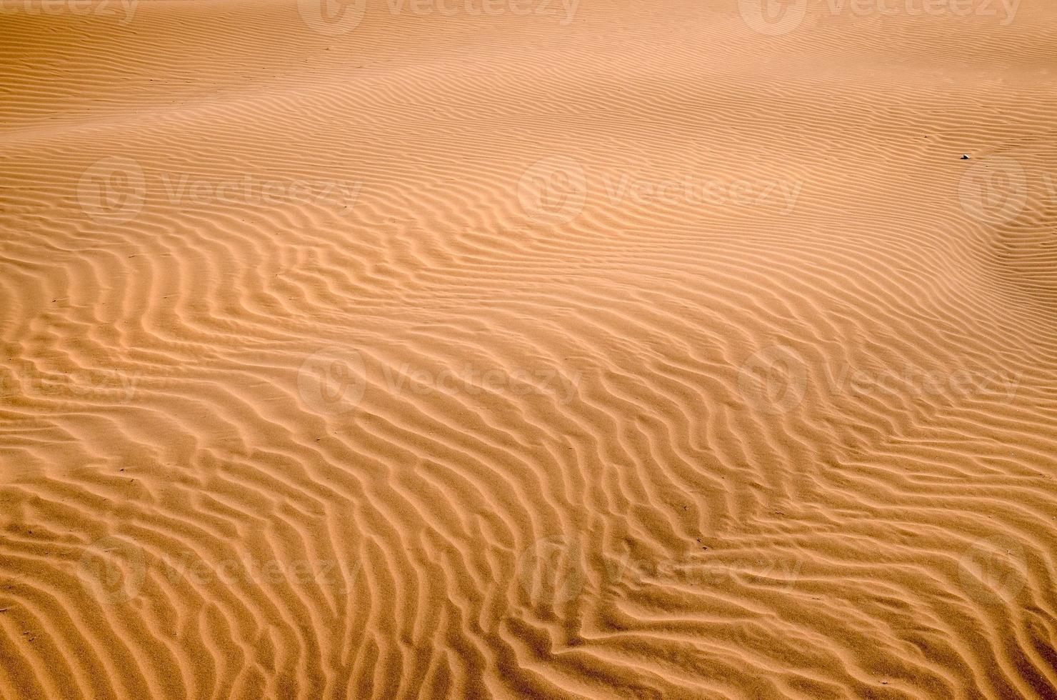 sand i de öken- foto