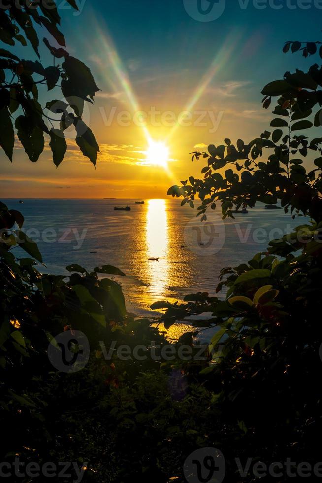 strand solnedgång panorama med silhuett av träd foto