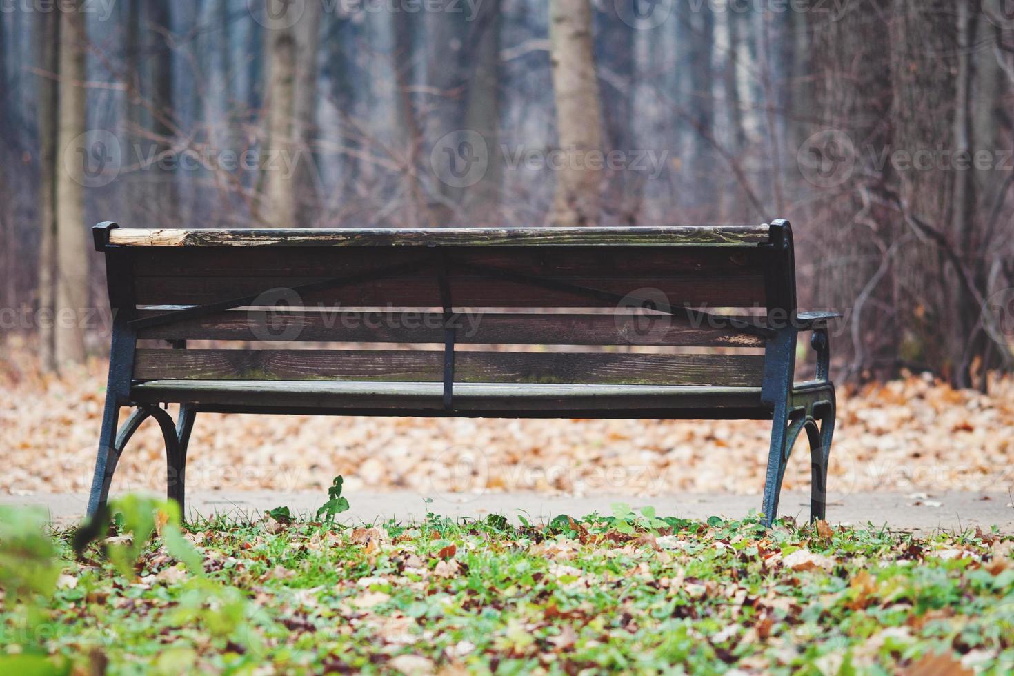 gammal trä- bänk i de höst parkera, Nej människor foto