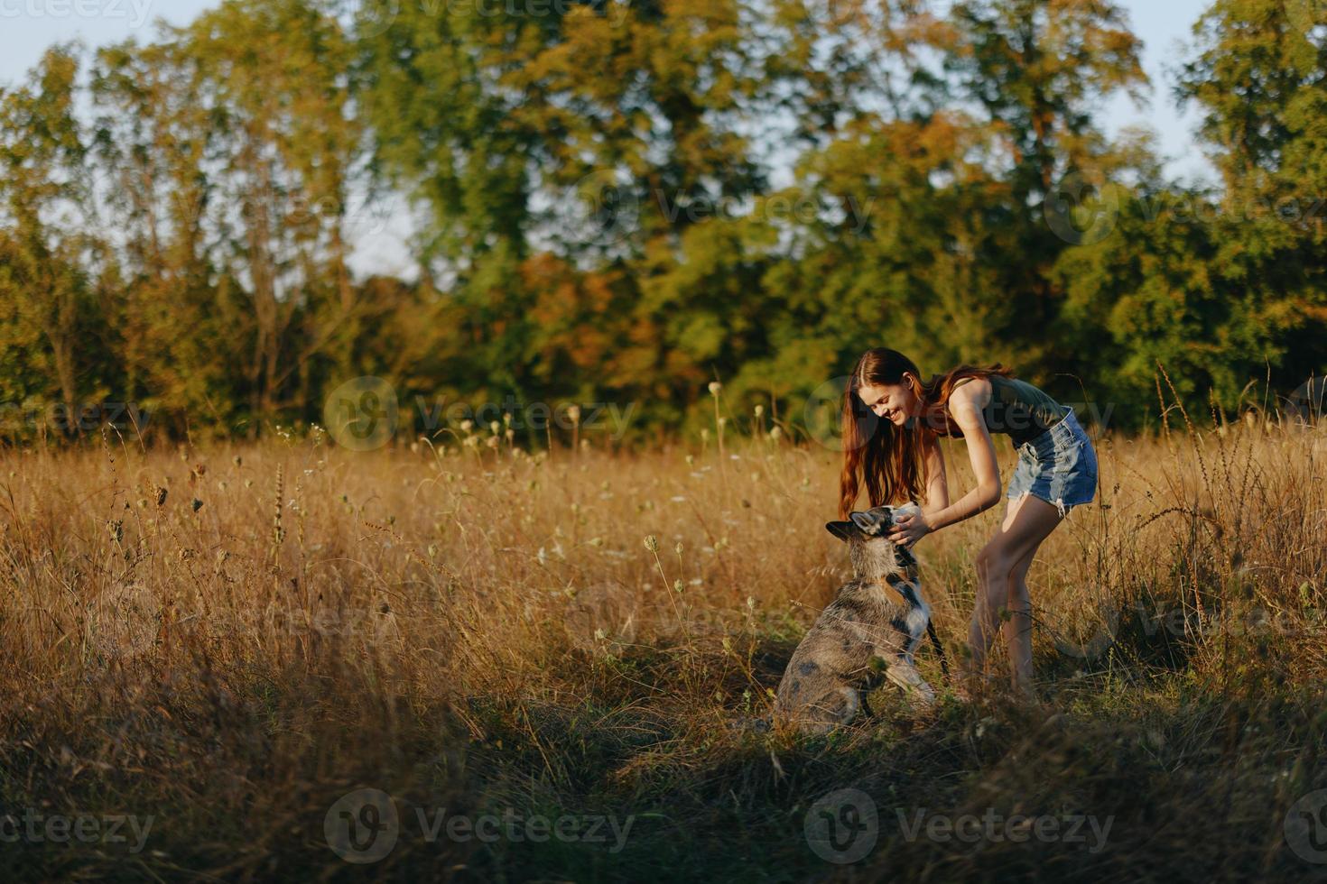 en kvinna spelar och danser med en hes ras hund i natur i höst på en gräs fält, Träning och Träning en ung hund foto