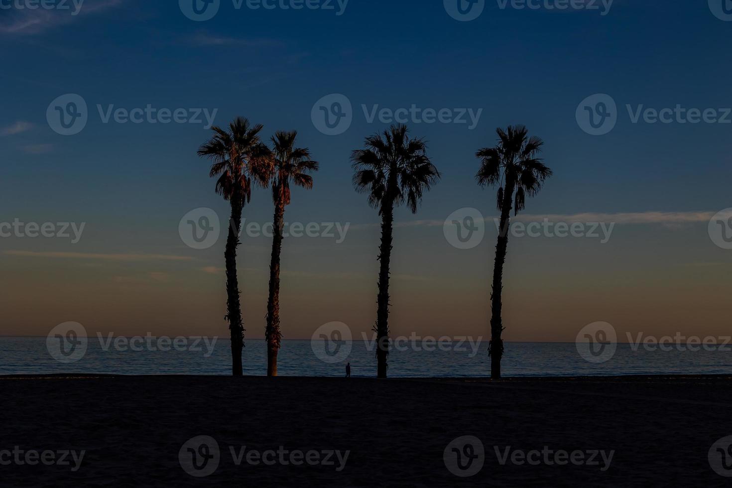 havet landskap fred och tyst solnedgång och fyra handflatan träd på de strand foto