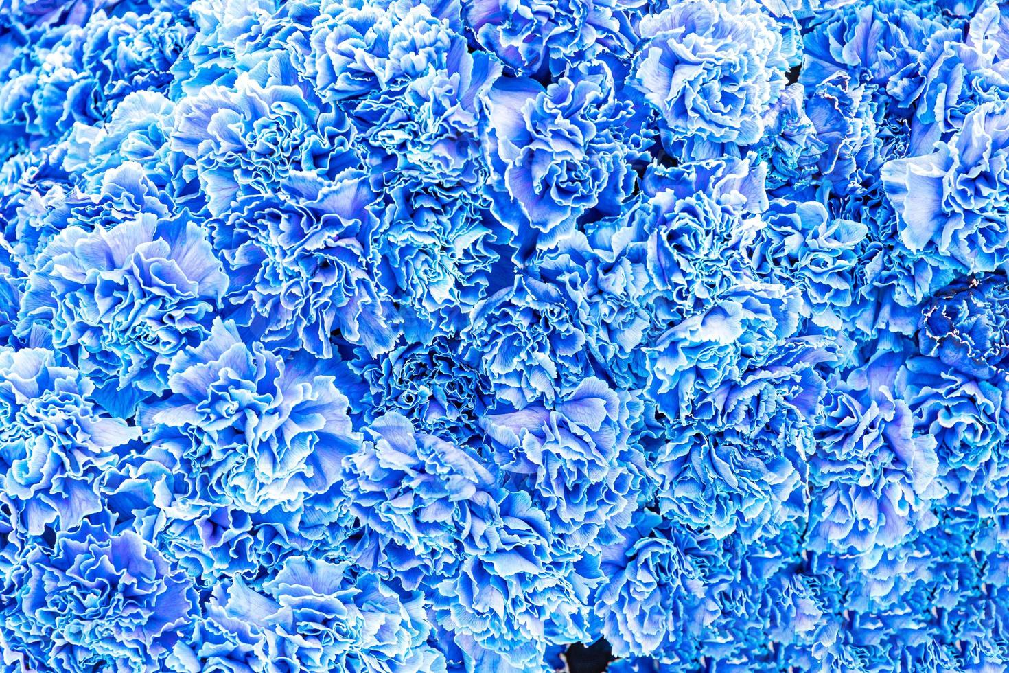 naturlig blå bakgrund med blommor närbild foto