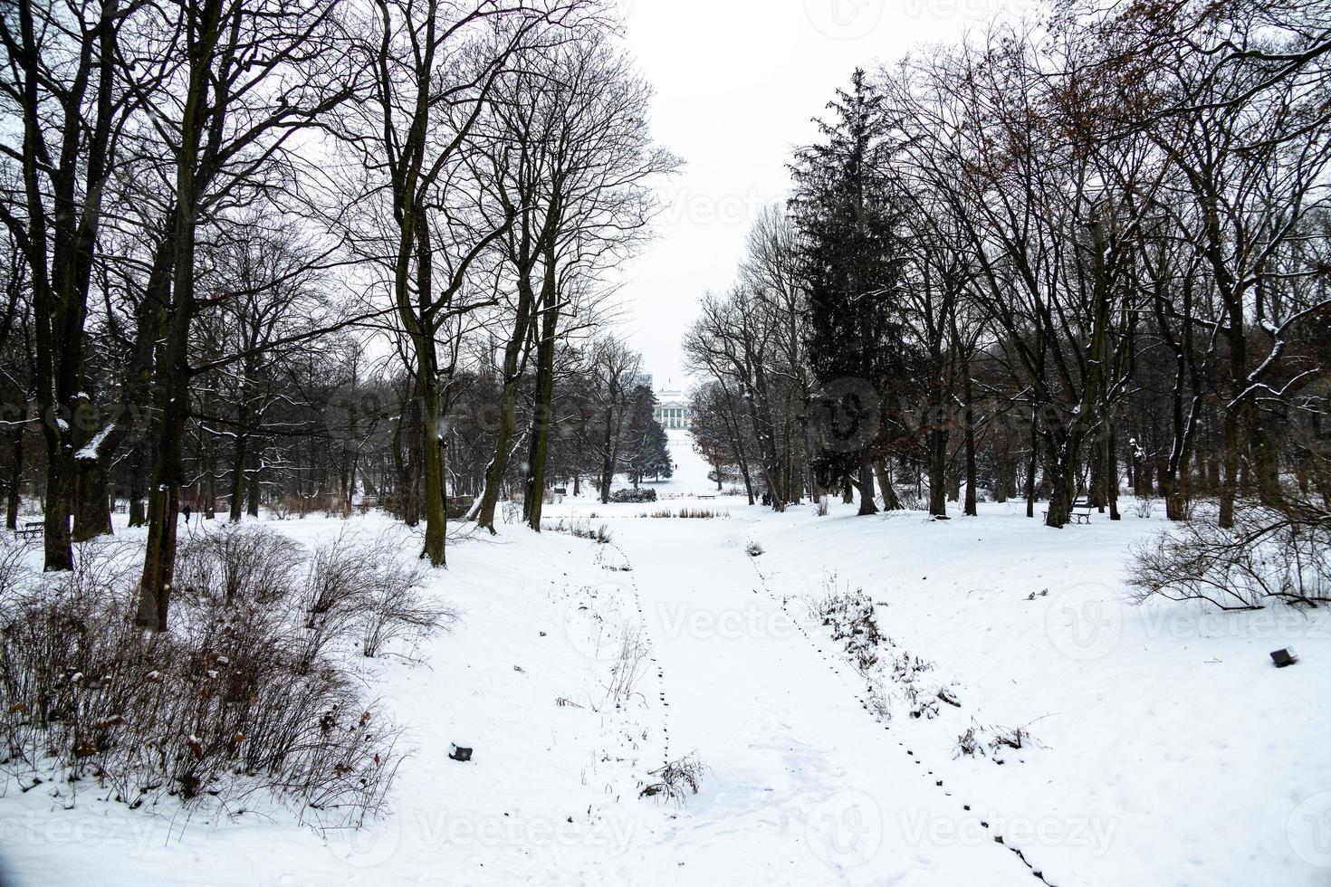 väg i de parkera i Warszawa polen på en snöig vinter- dag foto