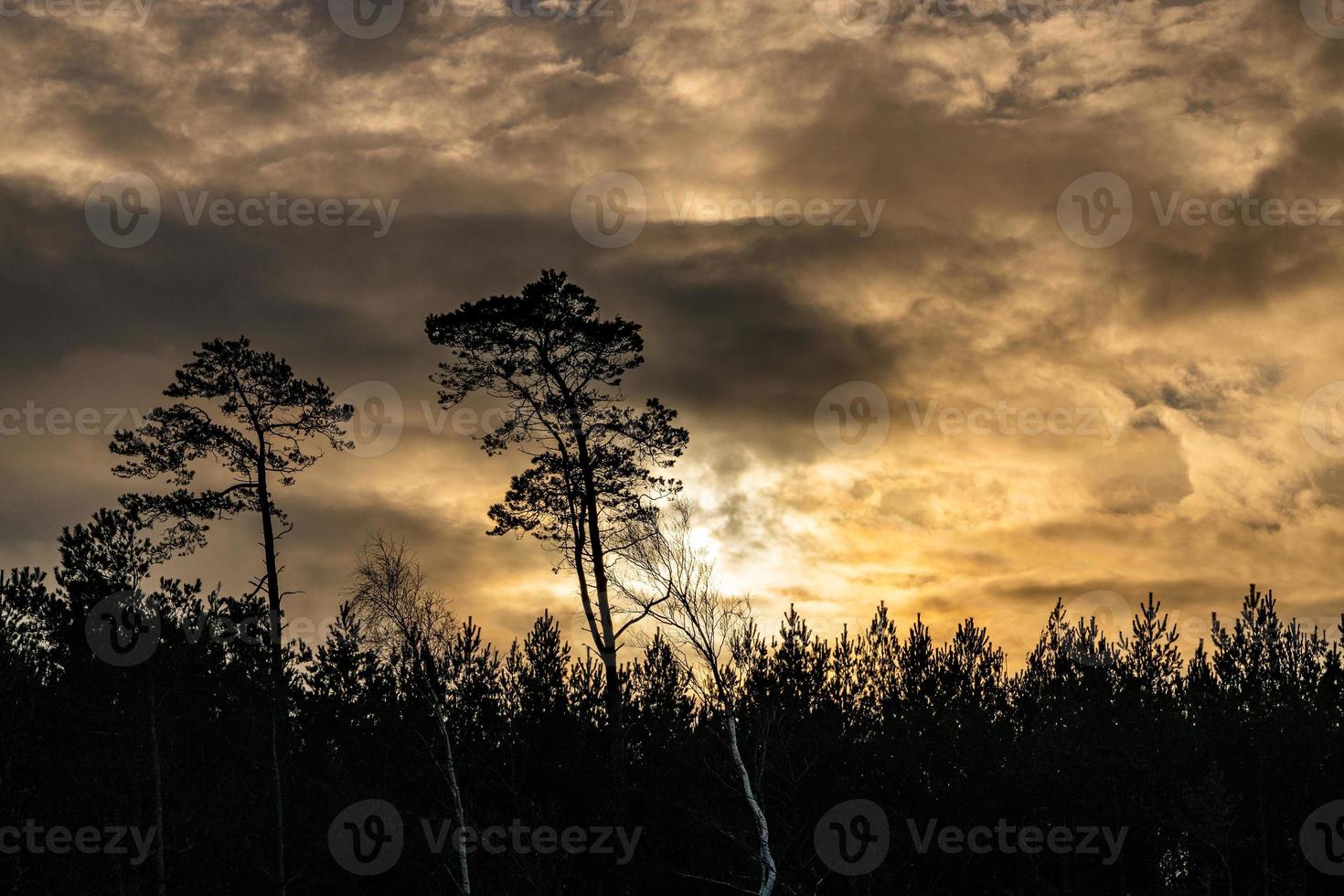 solnedgång över de sanddyner förbi de baltic hav på en frostig vinter- dag med moln foto