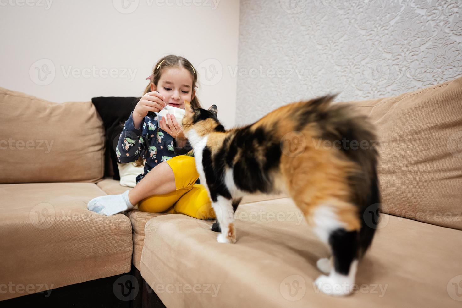 liten flicka utfodra de katt med yoghurt från en sked på Hem. foto