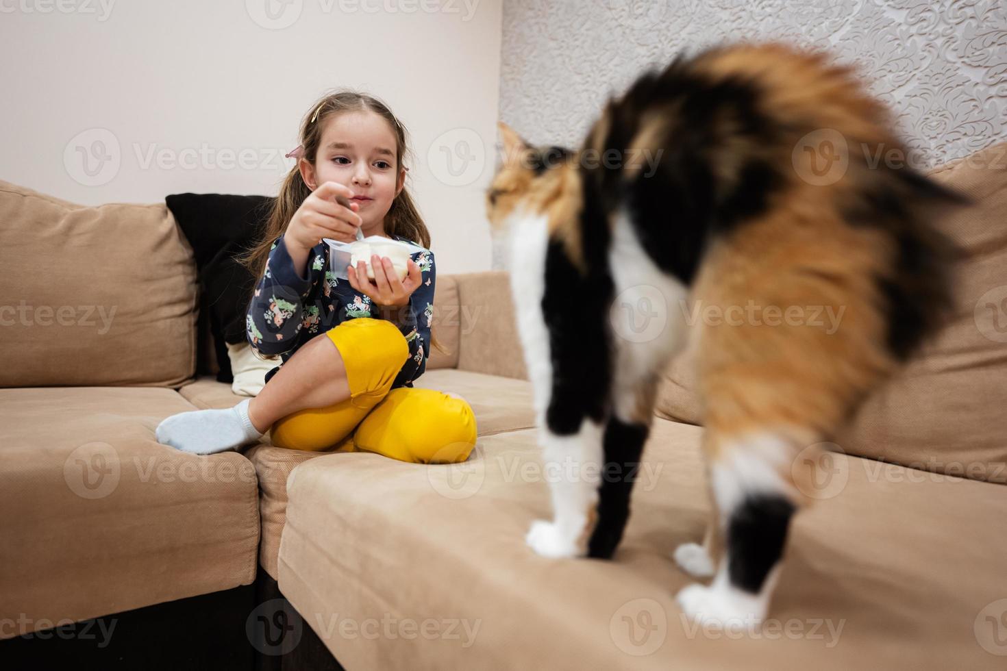 liten flicka utfodra de katt med yoghurt från en sked på Hem. foto