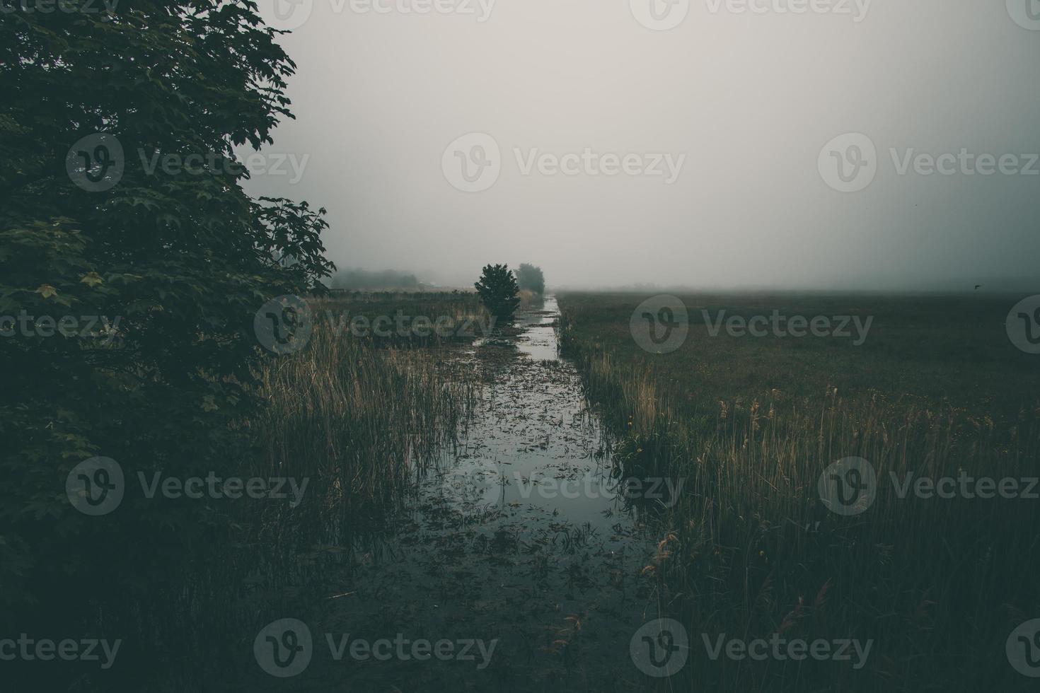lite smal flod strömmande genom de äng på grå dimmig dag foto
