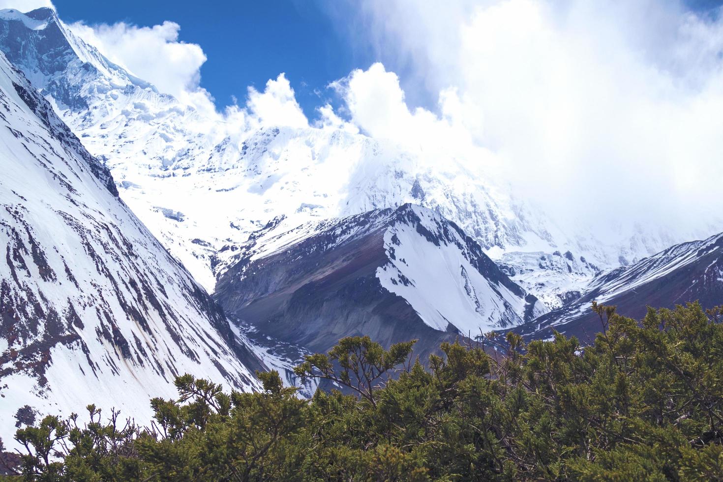 en grön i de himalaya foto