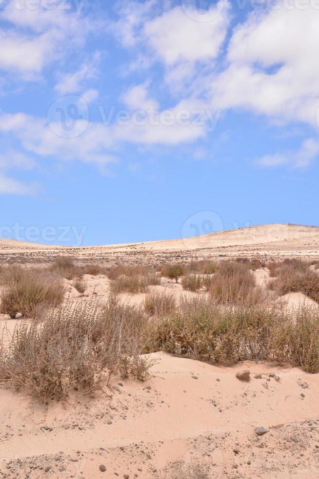 naturskön lantlig landskap foto