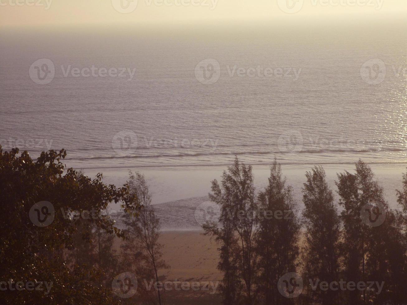 Foto av en skön naturlig landskap av lång grön träd på de hav strand i cox's basar, bangladesh. resa och semester.