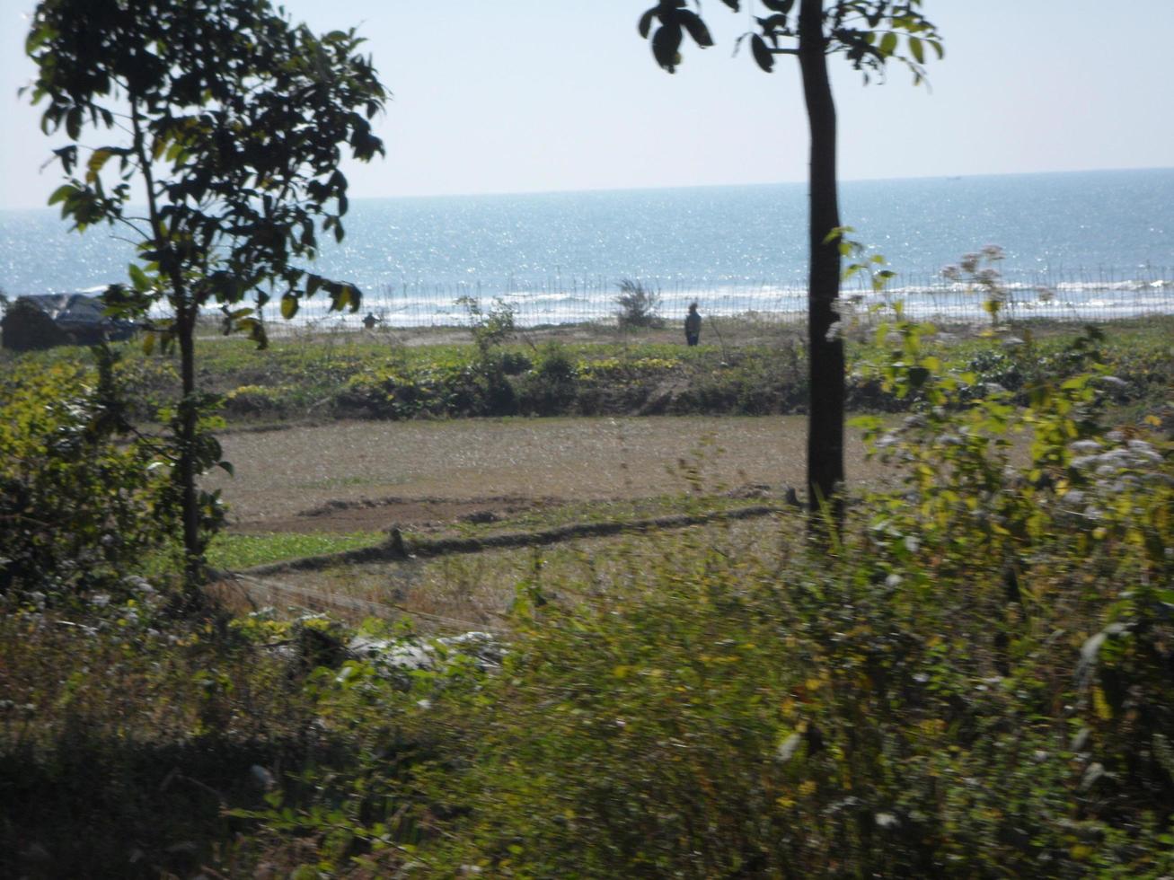 Foto av en solig dag se av en skön tropisk strand och hav på en solig dag i cox's basar, bangladesh. resa och semester.