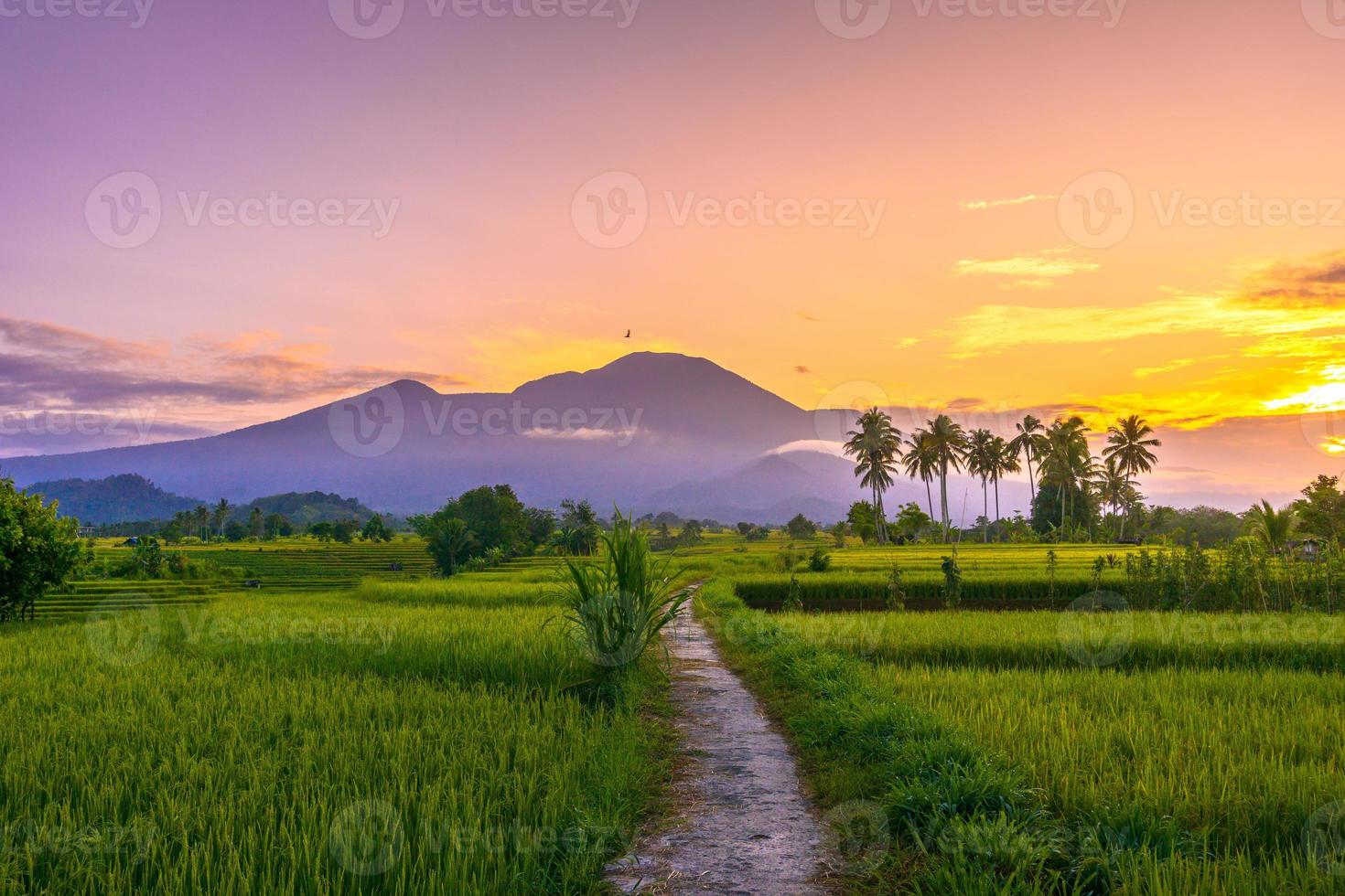 antenn se skön morgon- se från indonesien handla om berg och skog foto