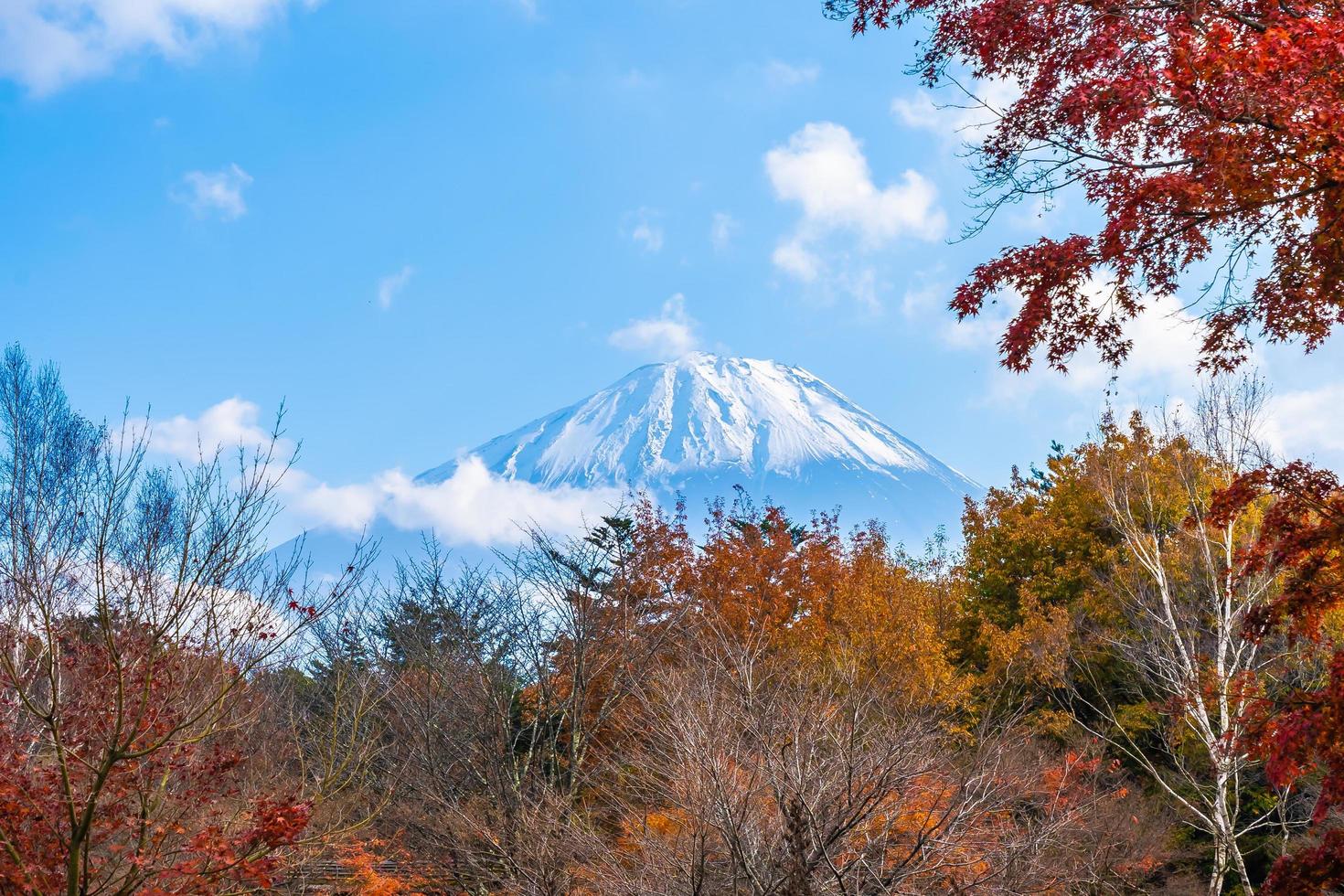 vackert landskap vid mt. fuji, japan foto