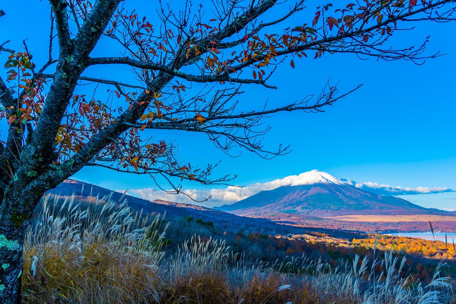 vacker mt. fuji vid Yamanaka sjön, Japan foto