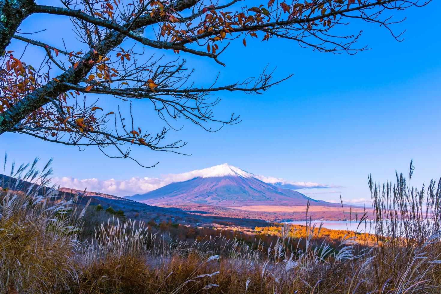 vacker mt. fuji vid Yamanaka sjön, Japan foto