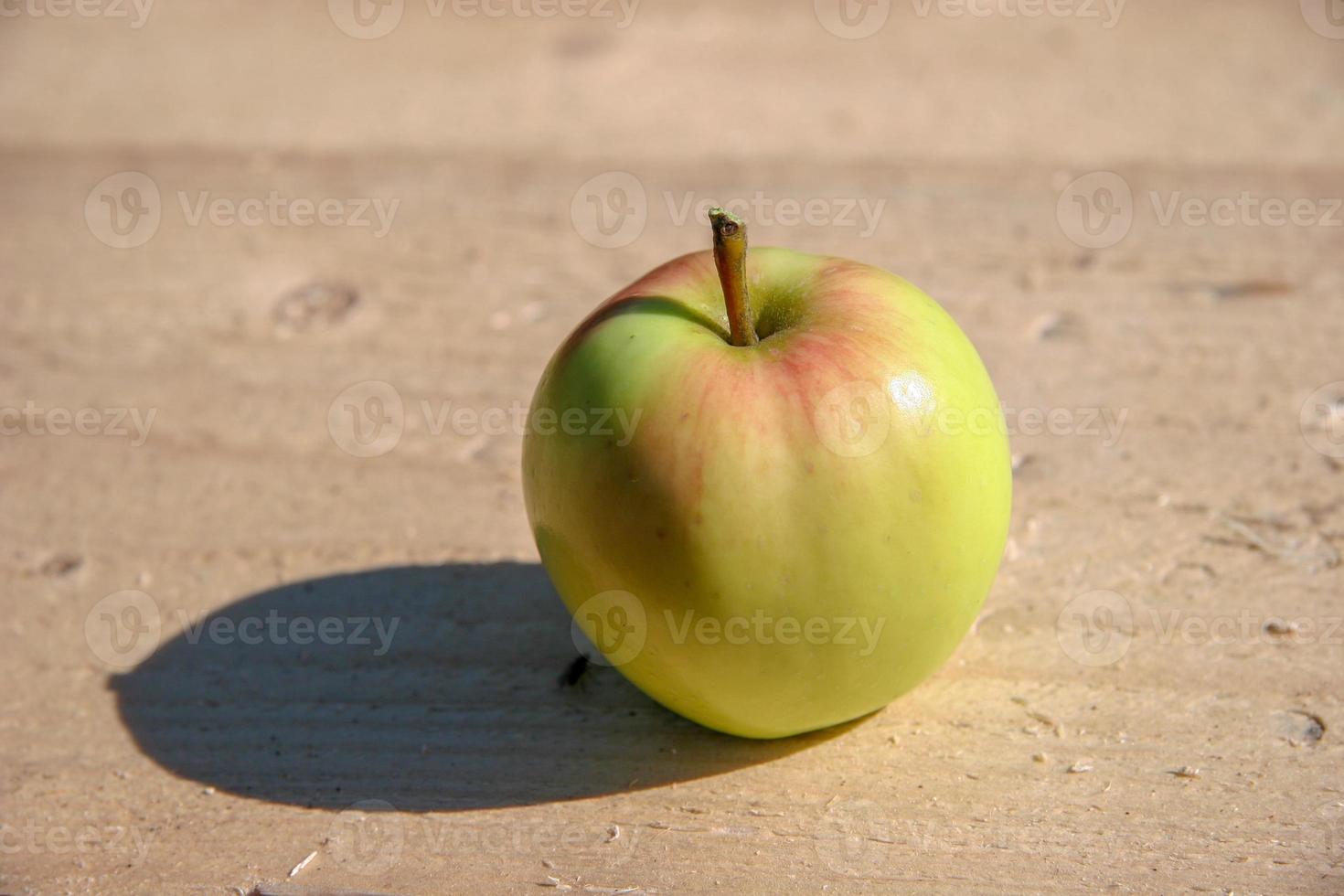 grön med röd äpple lögner på en trä- bar på en solig dag. i de skugga av ett äpple sitter en flyga. rå timmer. selektiv fokus. foto