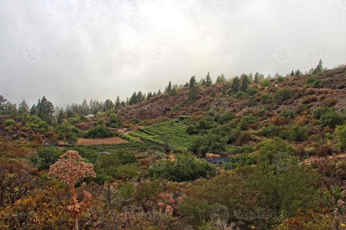 lugna berg landskap runt om teide på de spanska kanariefågel ö tenerife foto