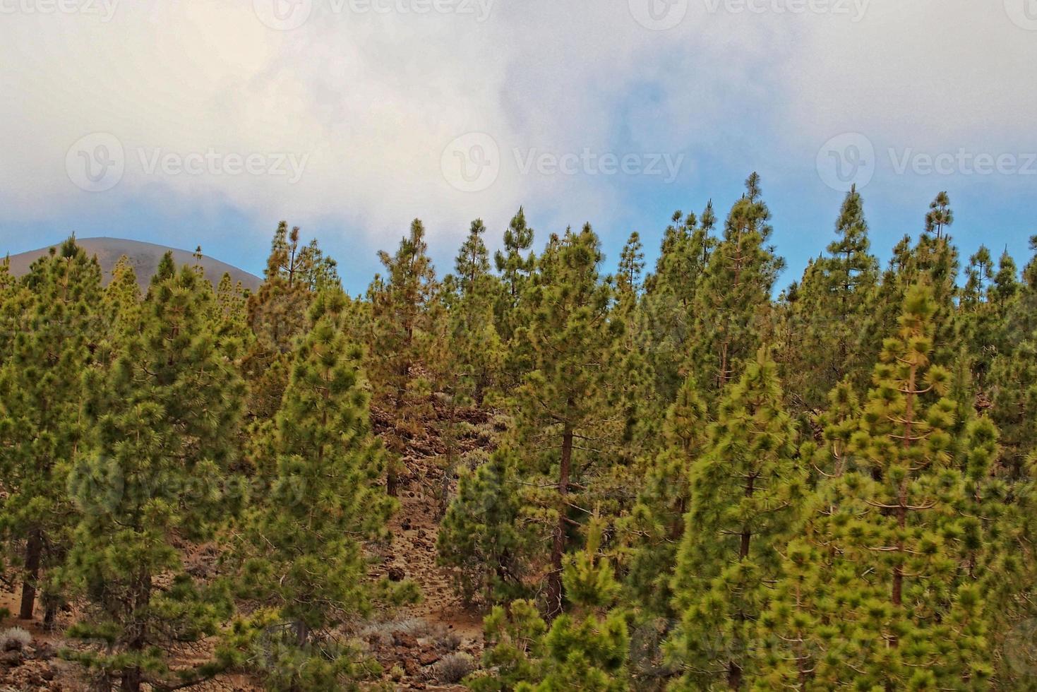 lugna berg landskap runt om teide på de spanska kanariefågel ö tenerife foto