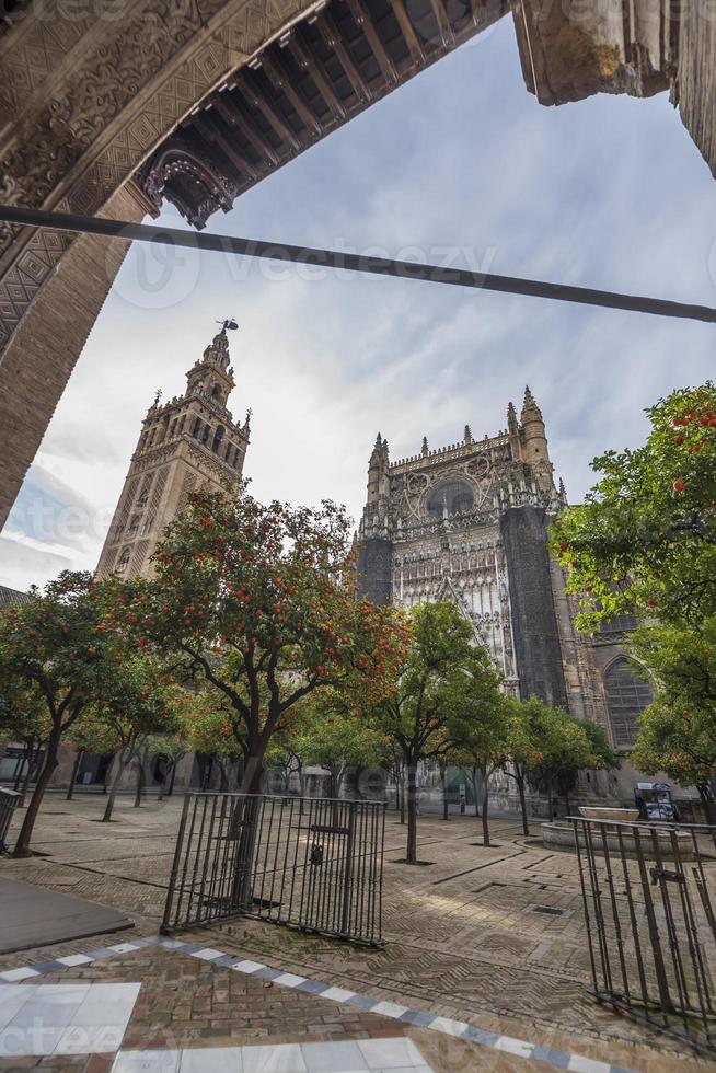 sevilla katedral är de tredje största kyrka i de värld och ett av de skön exempel av gotik och barock arkitektonisk stilar och giralda de klocka torn av är 104,1 meter hög foto