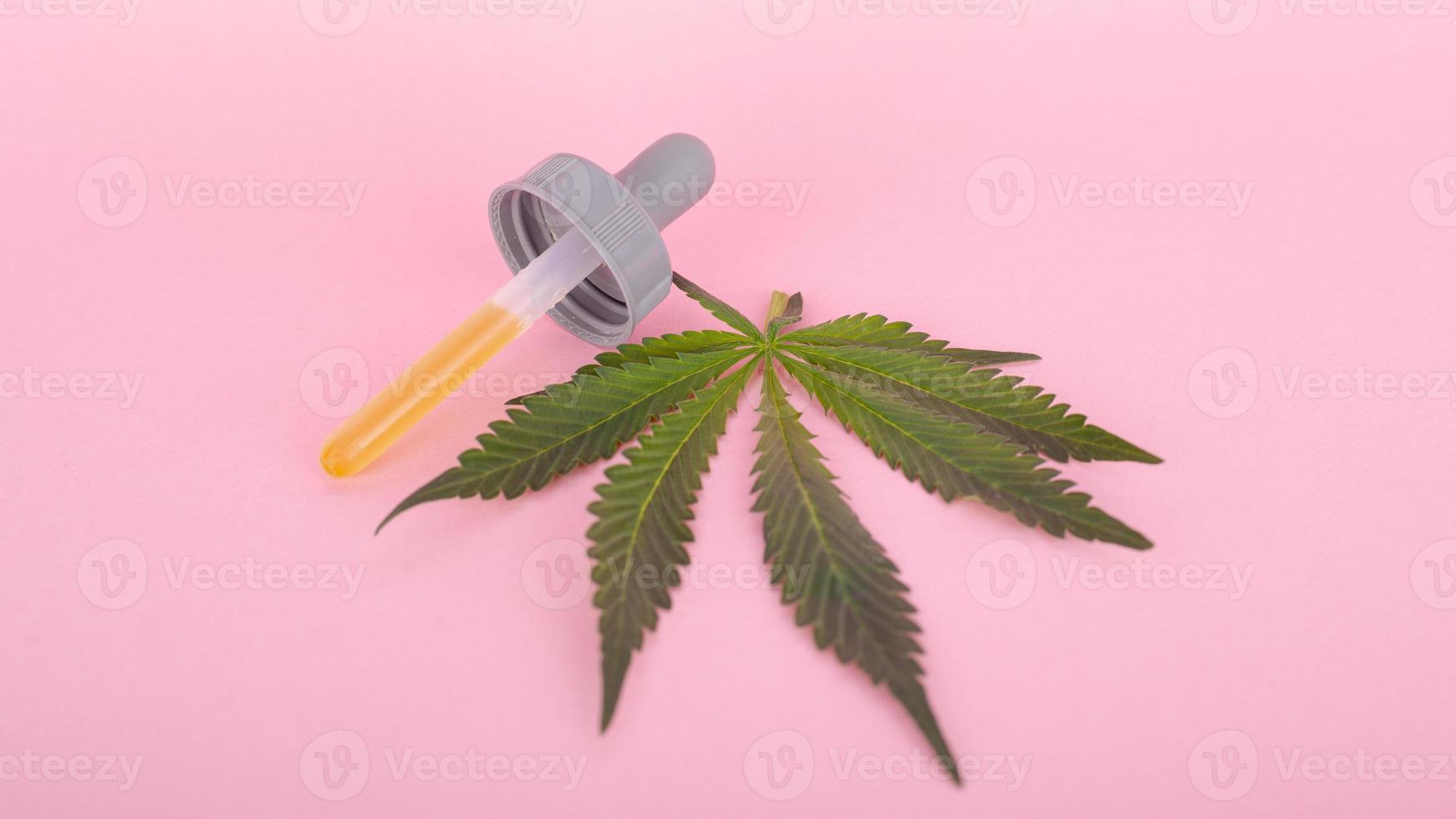 cannabisblad och pipett med thc på en rosa bakgrund foto