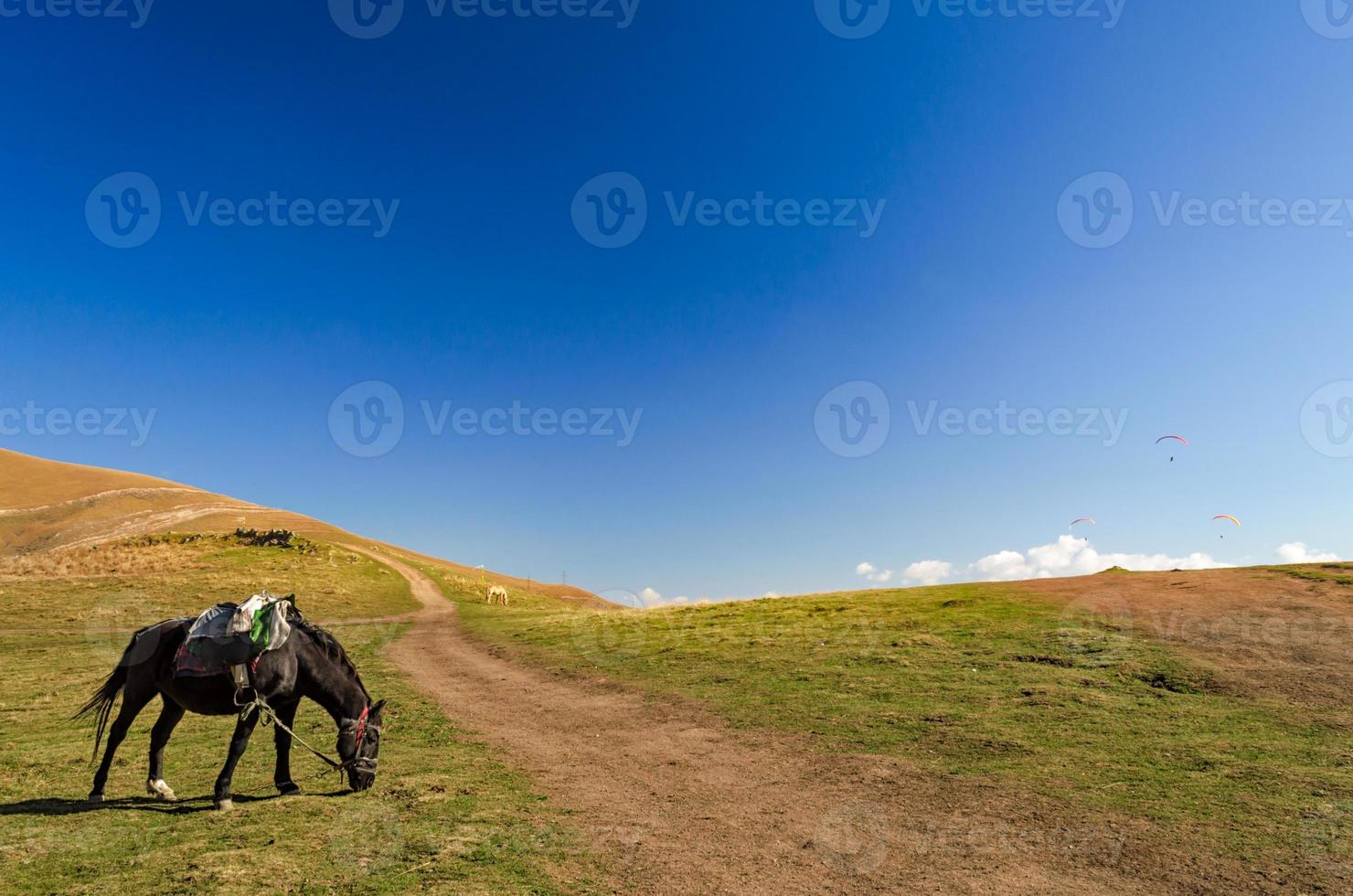 svart häst med sadeln betar i en alpin äng foto