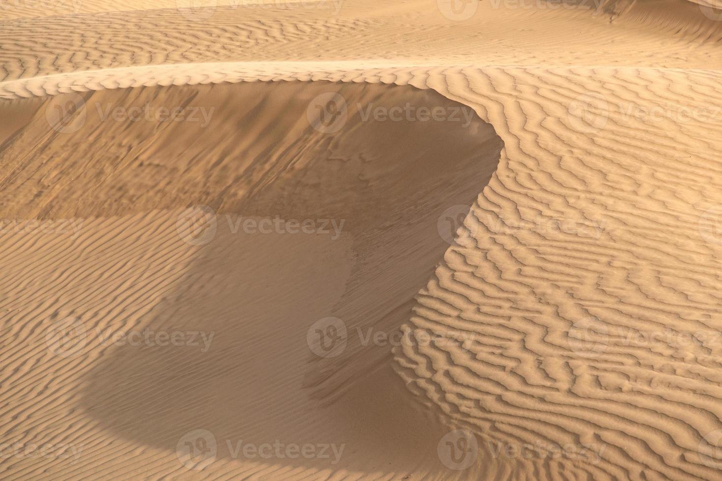 vacker sanddyn i thar öknen, jaisalmer, rajasthan, indien. foto
