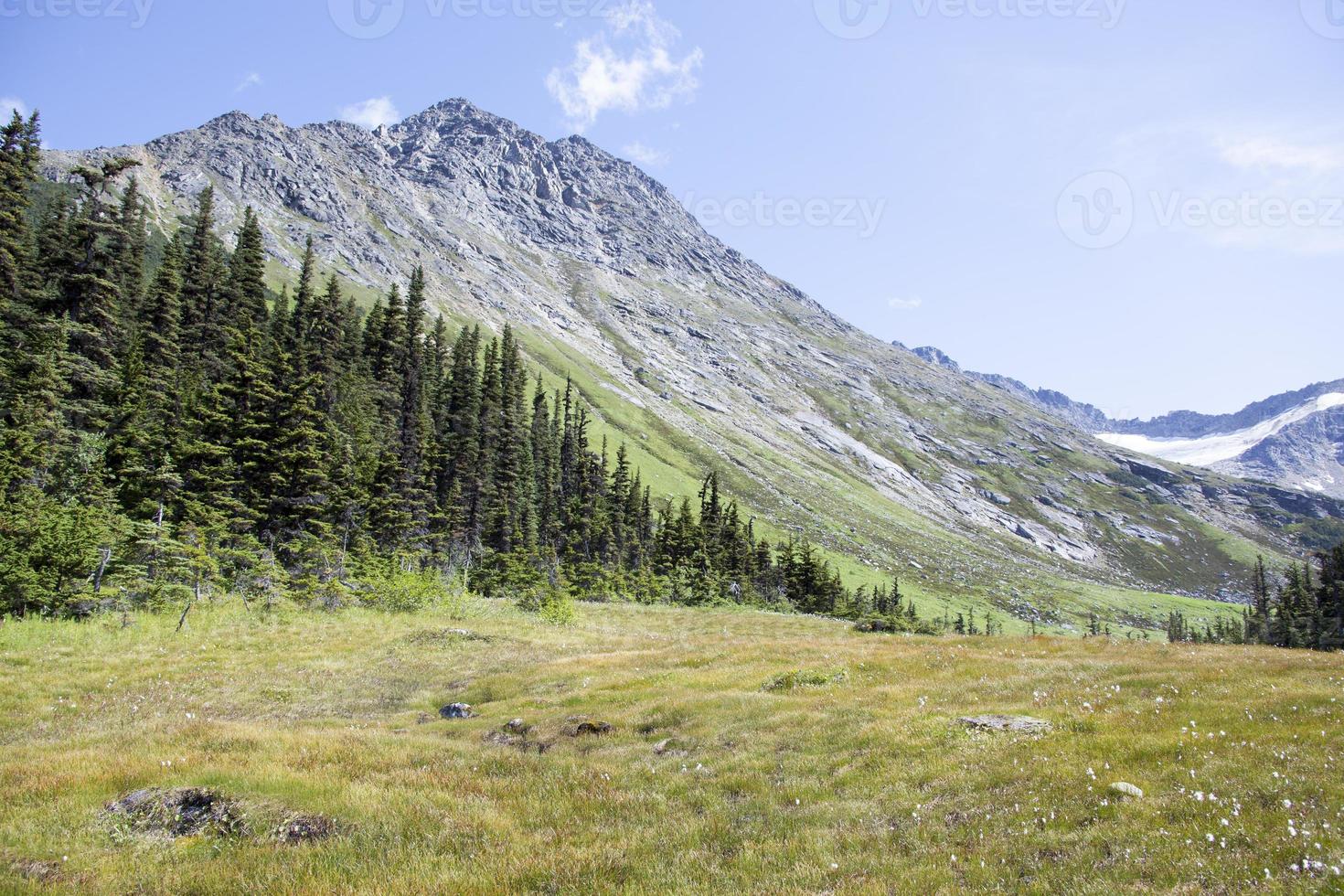 skagway stad övre dewey sjö sommar landskap foto