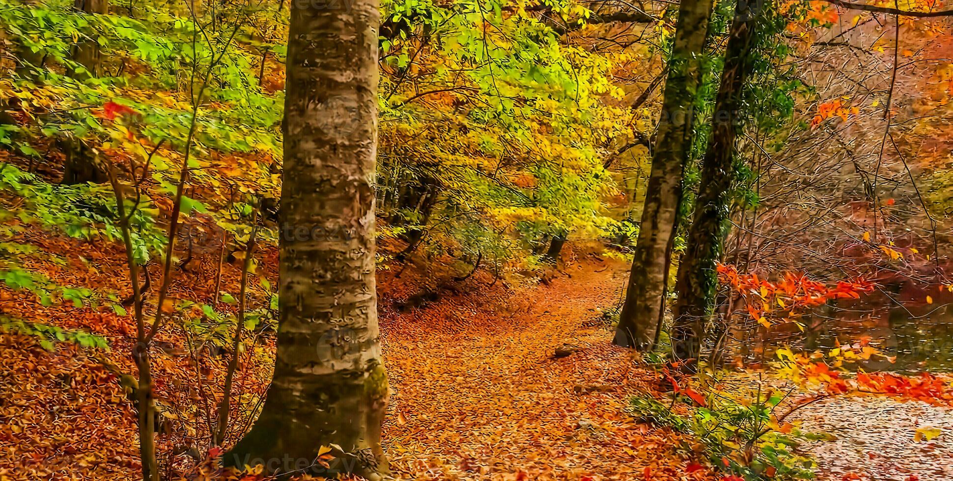 Fantastisk natur tapet - skön landskap foto