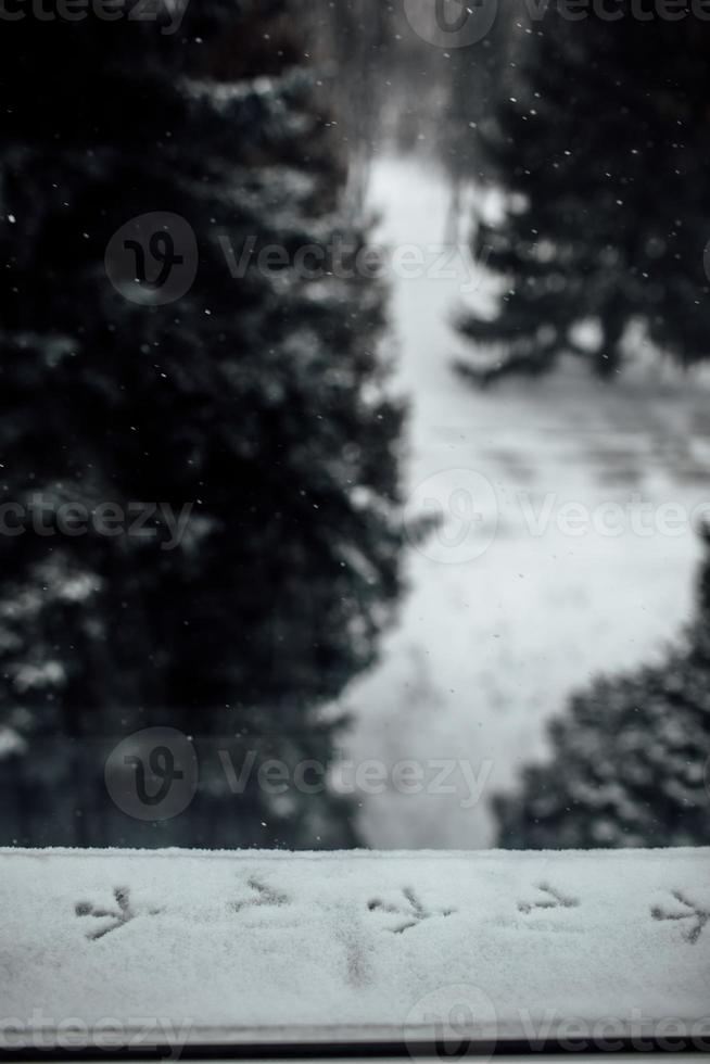 fotspår från en fågels fötter i snön. fågelavtryck på snön på vintern. foto