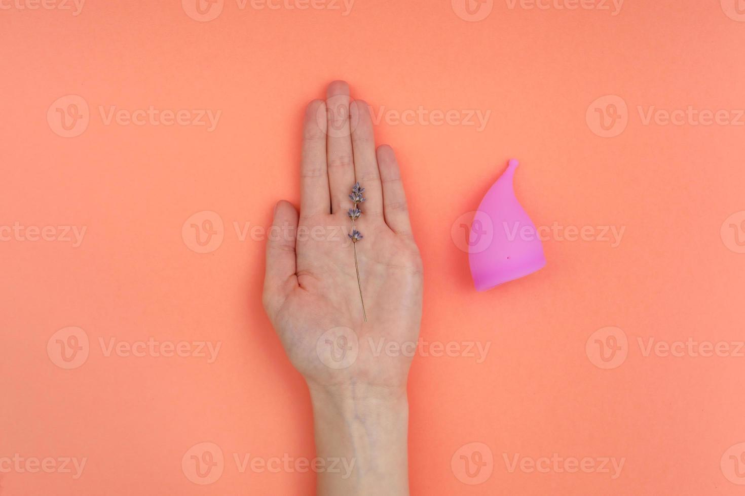 rosa menstruationskopp och hand med lavendel isolerad på en persikabakgrund. menstruation, kritiska dagar, kvinnors perioder. zero-waste, eco, ecology foto