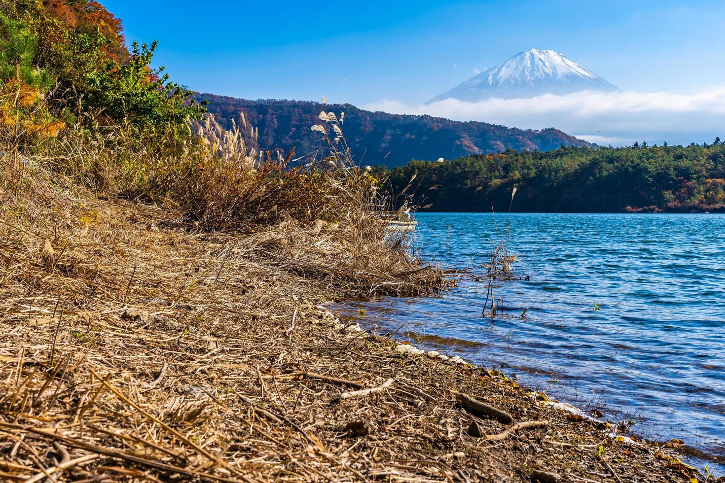 landskap vid Mt. fuji i japan foto